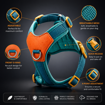 No-Pull Comfort Harness for Stress-Free Walks