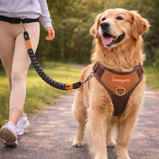 Lumopets™ Hands-Free Shock-Absorbing Dog Leash | Comfort Stretch Traction Rope for Walking, Running & Training