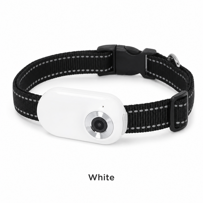 Pet POV Collar Camera — See the World Through Your Pet's Eyes